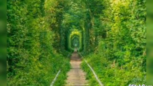 Самые красивый картинки смотреть онлайн