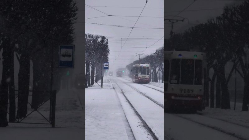 Зима не покидает Петербург. 19 апреля снег в Ленинграде. Снежный Санкт-Петербург