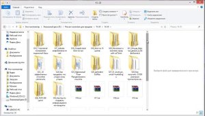 Мгновенный старт в инфобизнесе. Ваш реселл-комплект