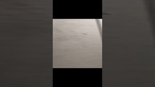 Карточка видео