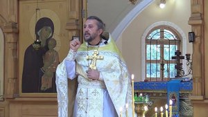 Зачем мы живём? Священник Игорь Сильченков.