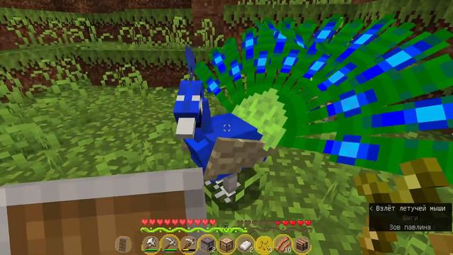Слишком много птиц!||Выживание майнкрафт с модами #1 смотреть онлайн