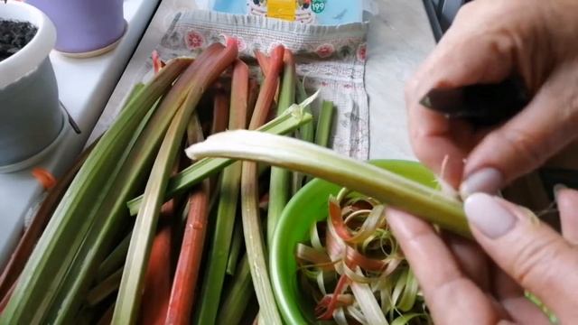 Ревень - кладезь витаминов. Заготовки из ревеня.