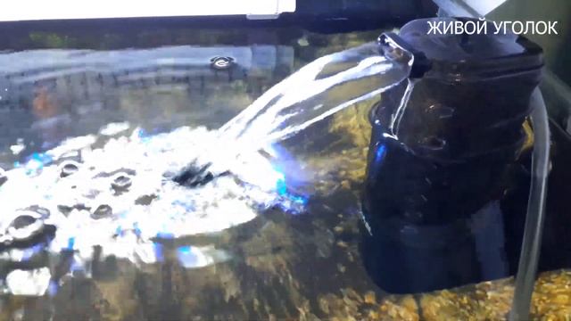 САМЫЙ МОЩНЫЙ ФИЛЬТР #HOMEFISH1350 vs #AQUAELASAP500 смотреть онлайн