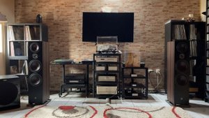 Dali Oberon 9 After a Year (part 3)