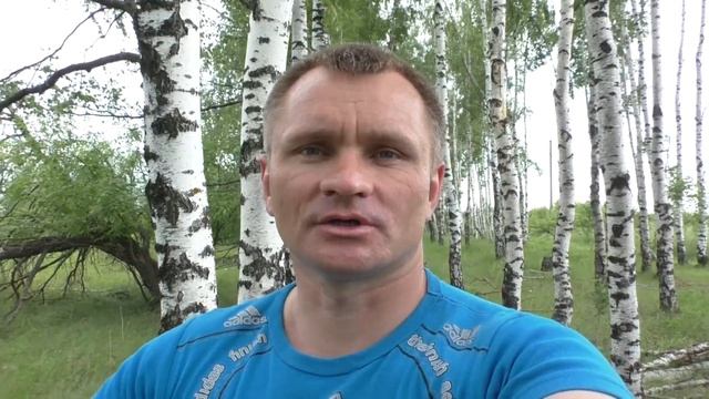 Край Рязанский -Берёзовый
