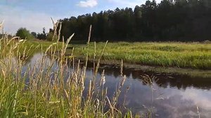 Рыбалка в Полевском. Раскуиха, торфяники