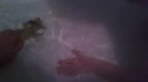 #4 Купаемся Играем в ванной змея,крокодил,ящерица Playing in the bathroom bathe