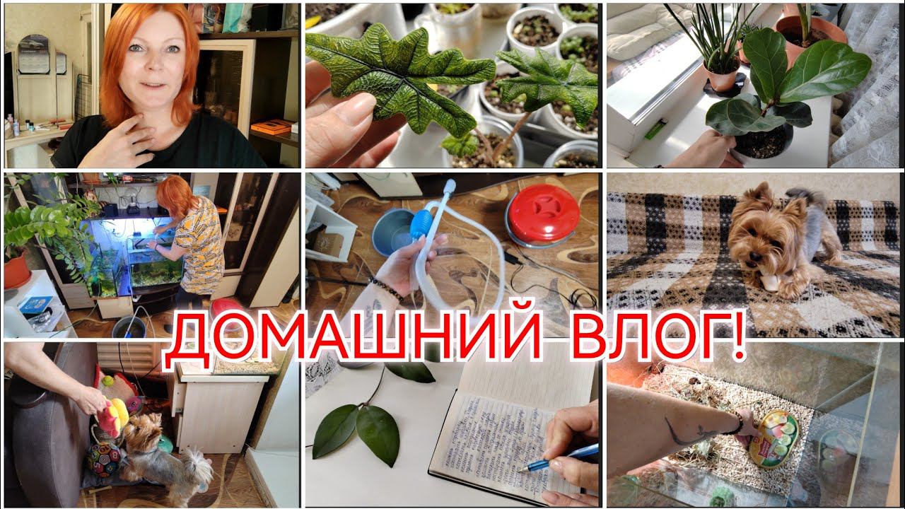 СОСТАВИЛА СПИСОК ДЕЛ / УБОРКА АКВАРИУМА / ПРО ШКОЛУ / ПОКУПКИ / КУЧА ДОМАШНИХ ДЕЛ..../