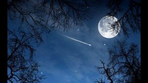 Ритуал в полнолуние на деньги богатство и Изобилие. Selena Moon Богиня Луны.