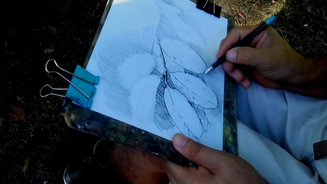 Пленэр рисуем веточку с листьями 3классы ДХШ 04.09.20