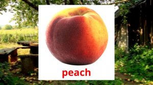 Learn names Fruits in English for Kids | Учим название фруктов на английском