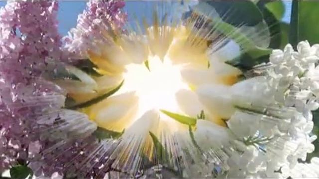 Ф. Шопен  - вальс № 10 - F. Chopin