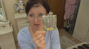 Домашние видео. Сею пустырник и цветы цинерарию. 18 февраля 2024 года.