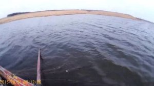 Снимаем сети 5 карп, сазан fishing with nets.