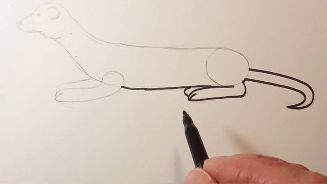 Как нарисовать милую ласку