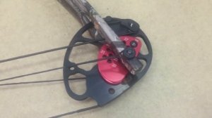 Знакомство с блочным луком Интерлопер Рекс