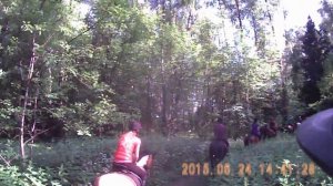 Верховая езда, выезд в поля (ШВЕ Династия 24.06.2015г) ч.3