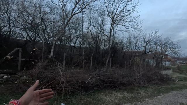 ЖИВОТ на СЕЛО: Как се грижим за ОПАСНИТЕ и високи ДЪРВЕТА