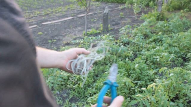 Многоразовая система для  подвязки помидоров.