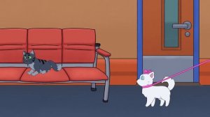 Мои родители любят кота больше чем меня, и тратят на него все деньги