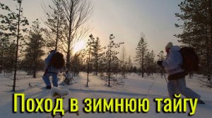 Поход в зимнюю тайгу. Ищем боровую птицу. Пьём чай у костра.