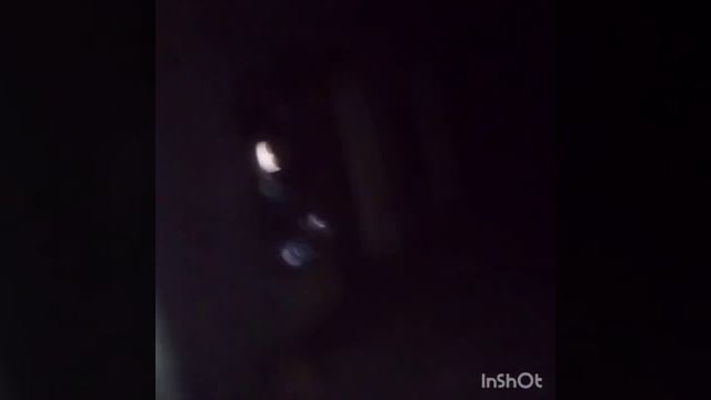 #летопись32 Бездействие Матина-подвал СНОВА в Г@внище!За что Спящие Вознаграждают!!! #осгбрянск #жк смотреть онлайн