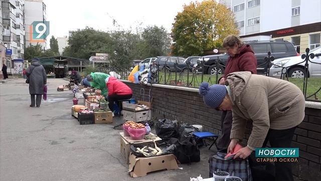 Грибной сезон начался: первые трофеи и первые отравления