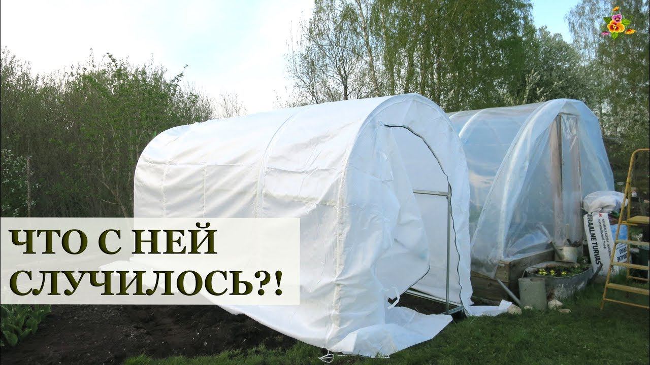 Чудо Теплица Сибирский Агроном Купить