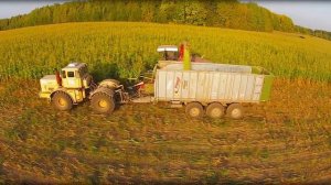 Уборка кукурузы на силос // Полесье КВК-800-36