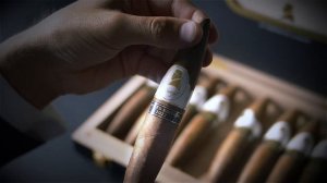 Davidoff Winston Churchill 2022 Limited Edition