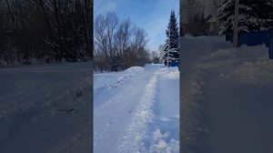 Мототолкач Супер Лонг , на склизах,18.5 сил.(самодел)
