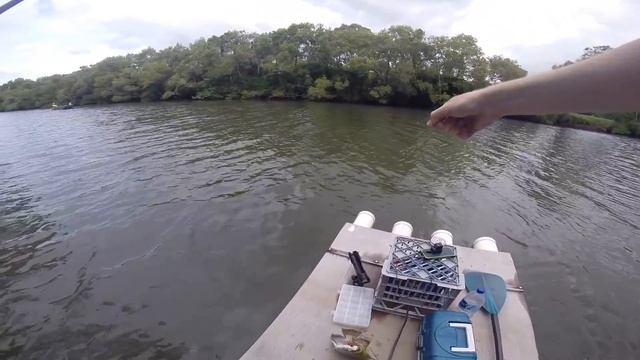 Ill Take it! Monster Spotted Scat! смотреть онлайн