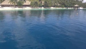 Виламенду, Мальдивы.MTS