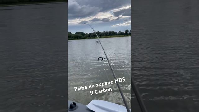 Как выглядит рыба на экране эхолота Lowrance HDS 9 Carbon #рыбалка #HDS #lowrance @iVanich_Drumzz смотреть онлайн