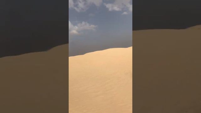 Пустыня Сахара.  Sahara Desert