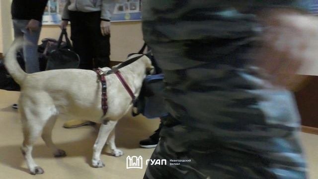 Что в сумке?