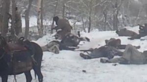 Вернуть любой ценой