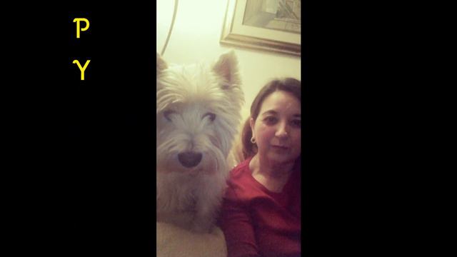 Video Partecipanti XI Raduno Nazionale Westy смотреть онлайн