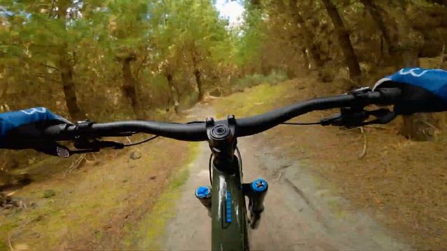 Samba – Maryvale Pines MTB смотреть онлайн