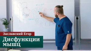 Дисфункции мышц. Заславский Егор