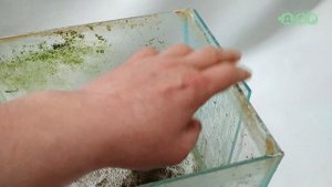 ЛОПНУЛ АКВАРИУМ, ПОСТАВИЛ ЛАТКУ, А ПОТОМ БЫСТРО ЗАМЕНИЛ!