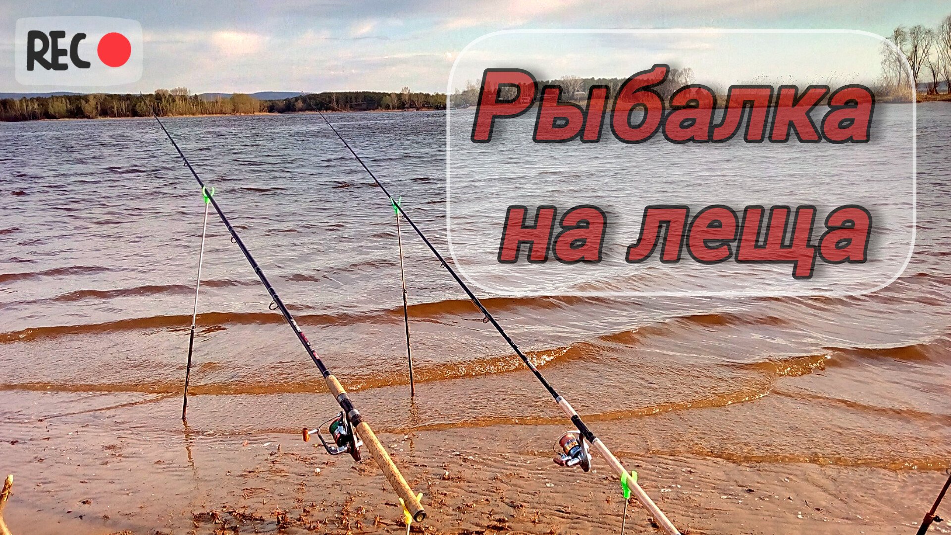 ЛОВЛЯ РАЗНОЙ РЫБЫ НА ФИДЕР! ВЕЧЕРНЯЯ РЫБАЛКА на ЛЕЩА. ЛЕТНЯЯ РЫБАЛКА на ФИДЕР на речке