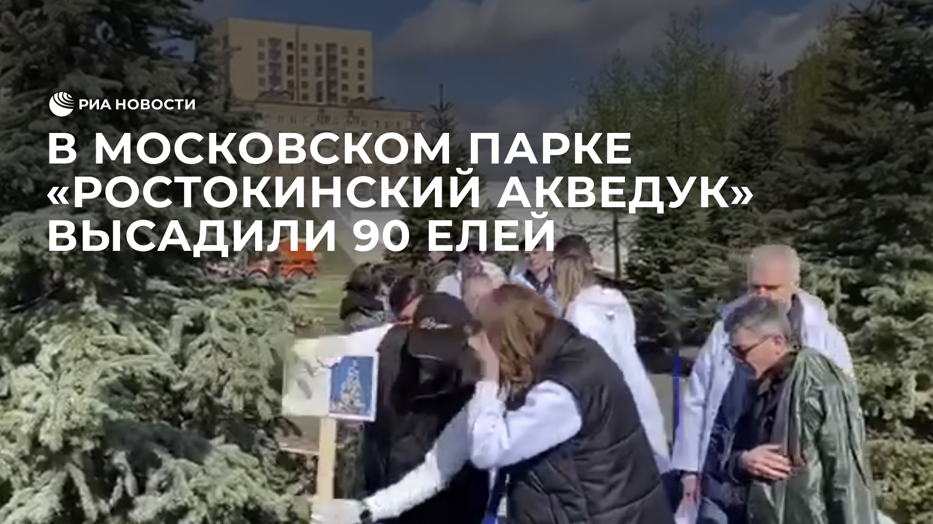 В московском парке "Ростокинский акведук" высадили 90 елей