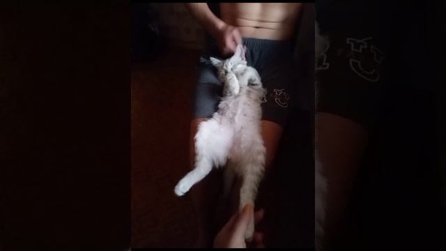 Люся