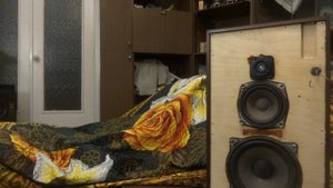 Скрытые таланты Radiotehnika S-50B