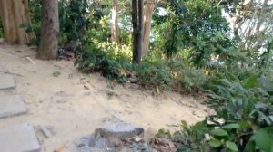 Таиланд  Пхи Пхи Дон  Отель Viking февраль 2018 год