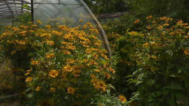 Удачный сезон смотреть онлайн