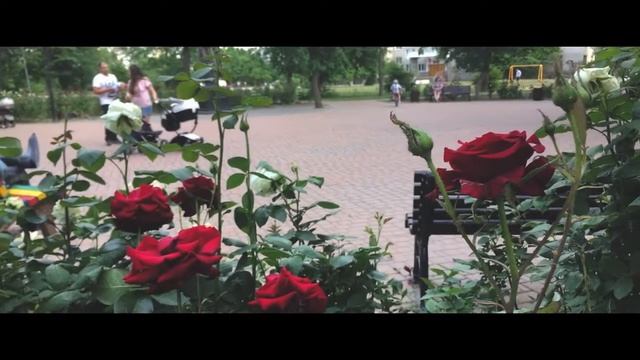 День Рождения Церкви (