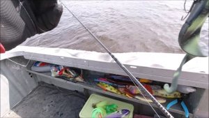 Бульдожки... Как играют! Как проводить!